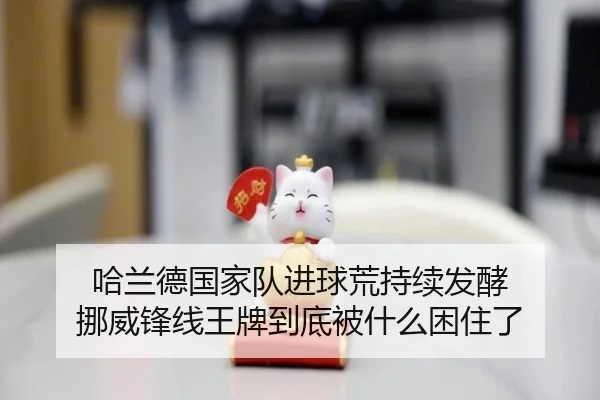 哈兰德国家队进球荒持续发酵 挪威锋线王牌到底被什么困住了 - Sina Sports